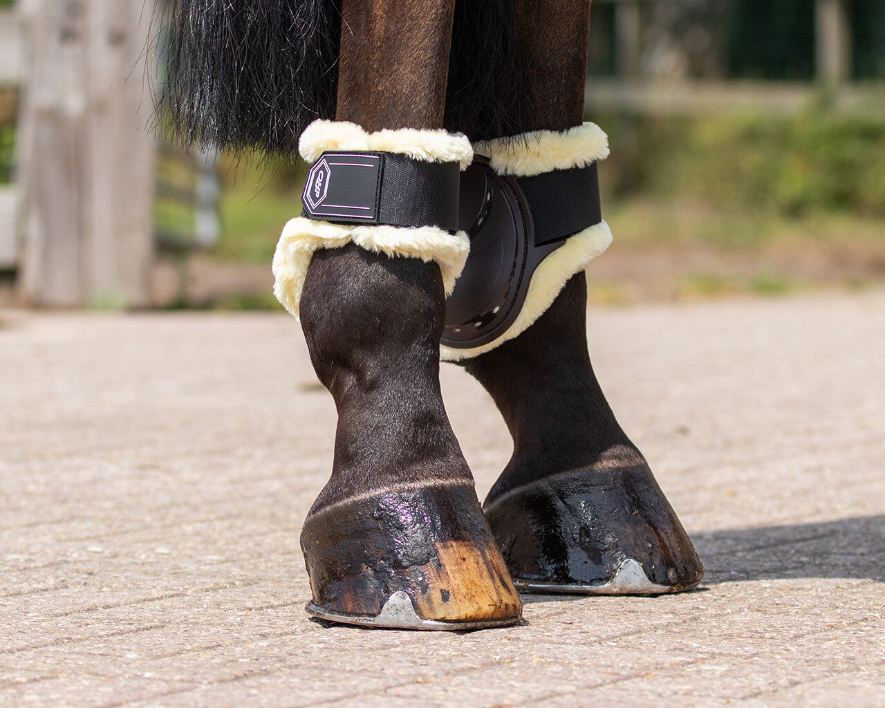 Zandonà Protège-Boulets Carbon Air Fetlock - marron - Boutique uus Zandonà Protège-Boulets Carbon Air Fetlock - marron - Boutique uus