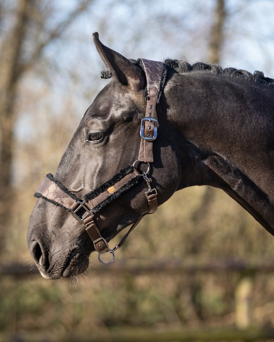 QHP Dark Brown Classy Headcollar