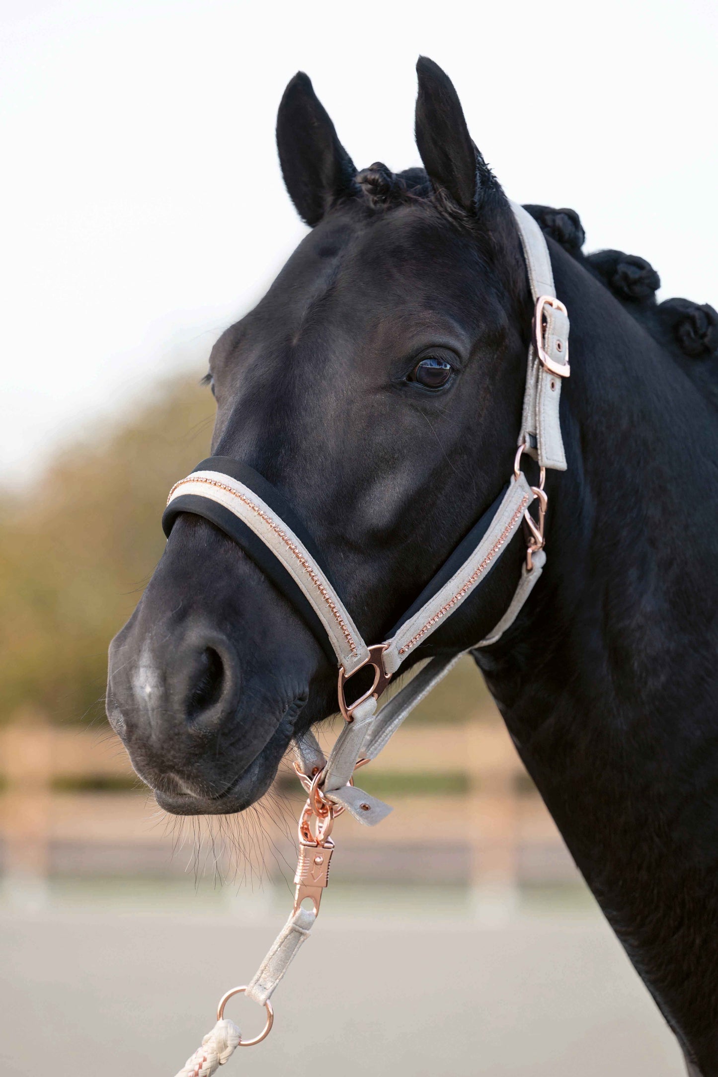 HKM Rosegold Elegant Headcollar