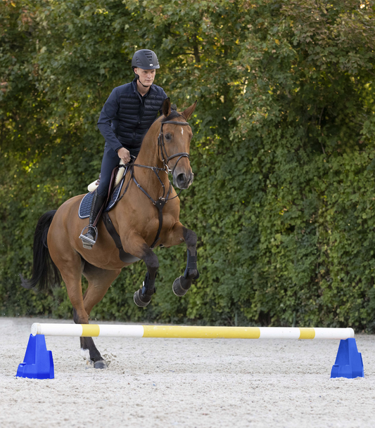Brown horse and rider jumping over a yellow pole being held by blue cavaletti blocks