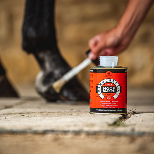 Carr Day & Martin Cornucrescine Daily Hoof Barrier