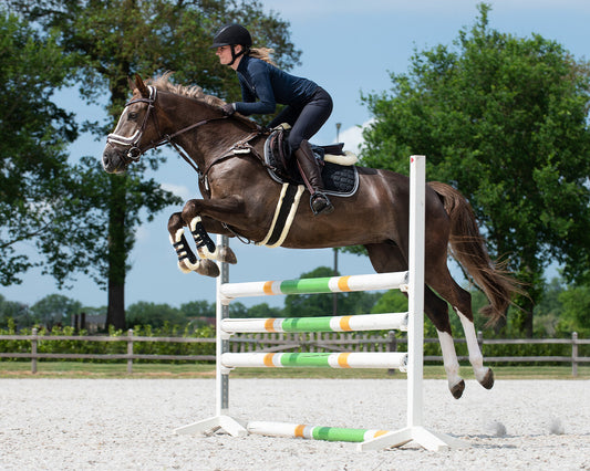 QHP Black Ontario All Purpose Long Girth