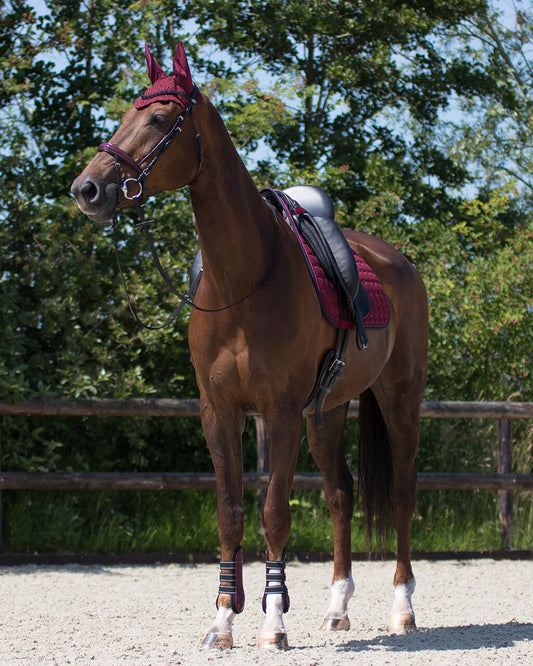QHP Bordeaux Florence General Purpose Saddle Cloth