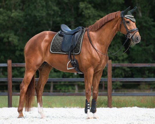 QHP Dark Green Orlando General Purpose Saddle Cloth