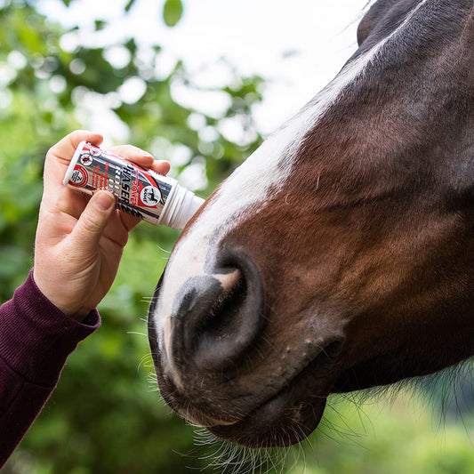 Leovet Power Phaser Roll On Fly Repellent