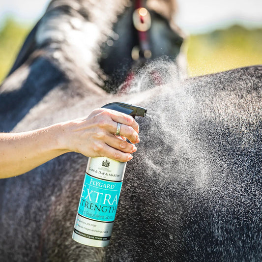 Carr Day & Martin Extra Strength Fly Repellent Spray