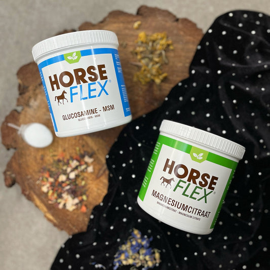 Horseflex Glucosamine & MSM Powder