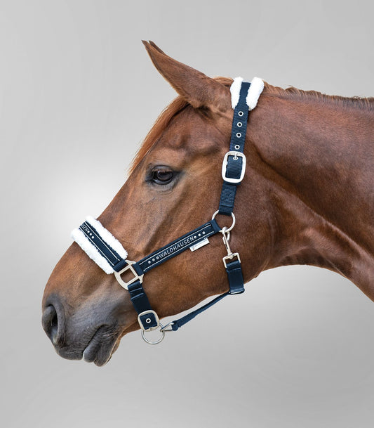Waldhausen Night Blue Elegant Headcollar