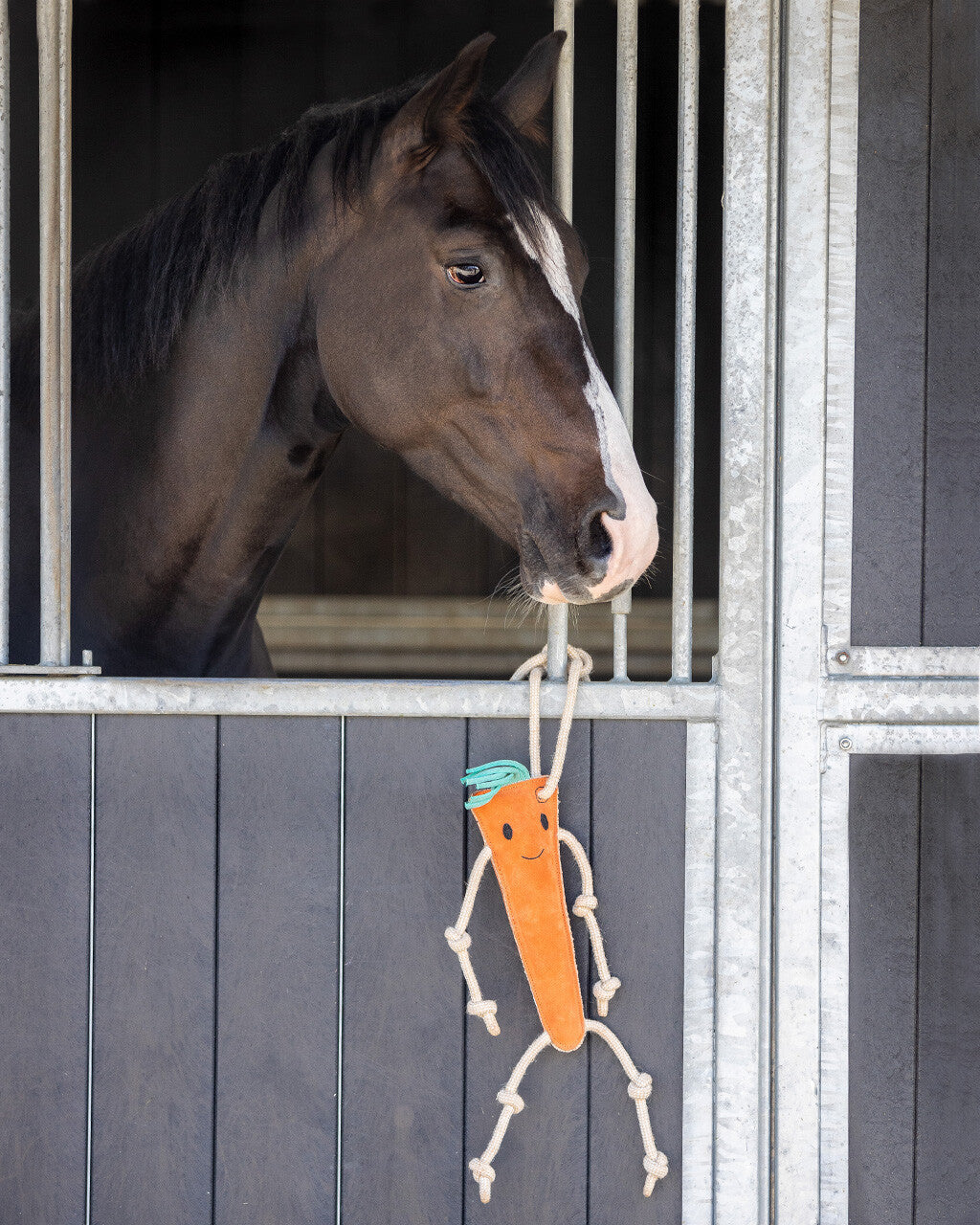 QHP Carrot Horse Toy
