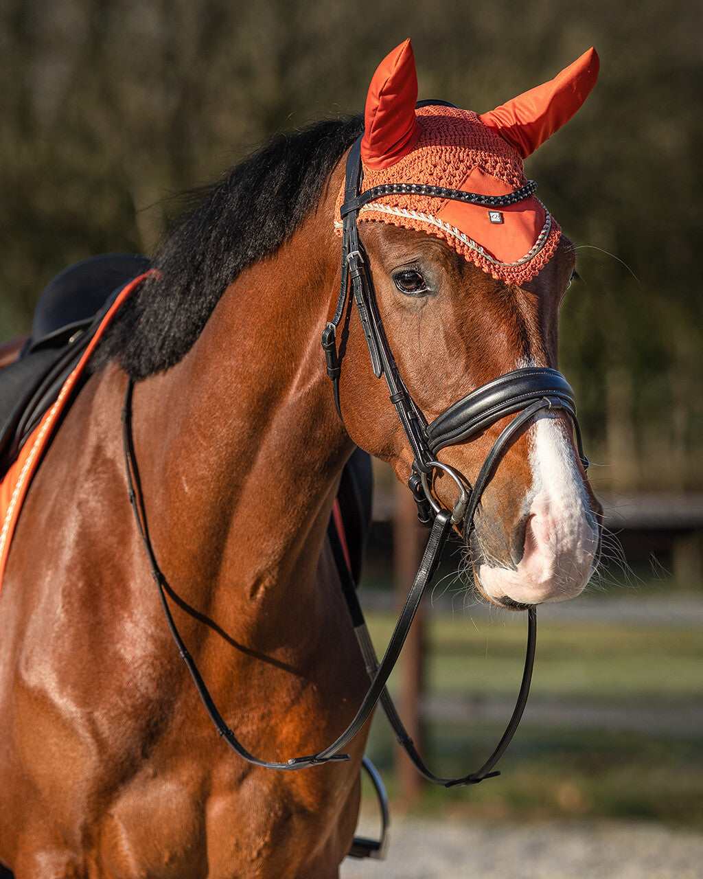 QHP Amber Gold Menton Ear Bonnet