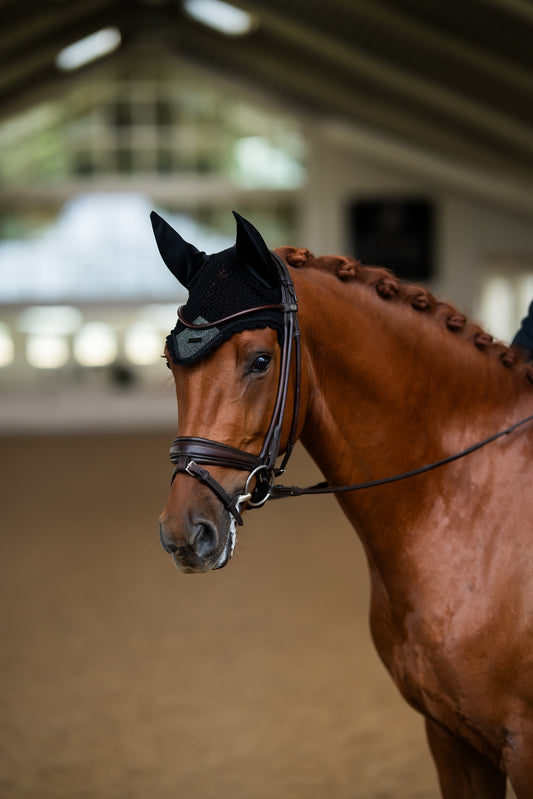 Equestrian Stockholm Northern Light Glimmer Ear Bonnet