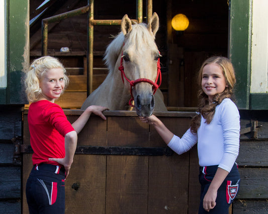 QHP Fiery Rope Halter Set