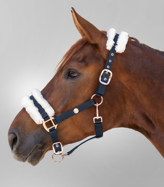 Waldhausen Night Blue Modern Rosé Headcollar