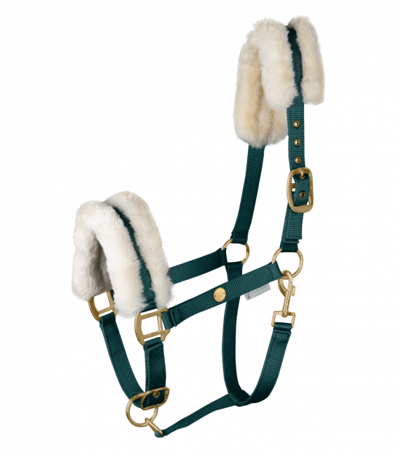 Waldhausen Fir Green Modern Rosé Headcollar