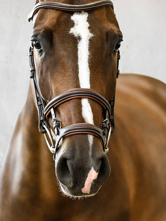 PS of Sweden Brown Paris Snaffle Bridle
