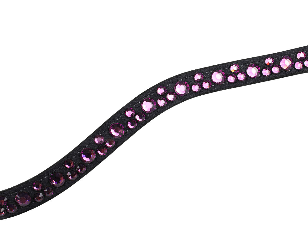 QHP Blackberry El Dorado Browband