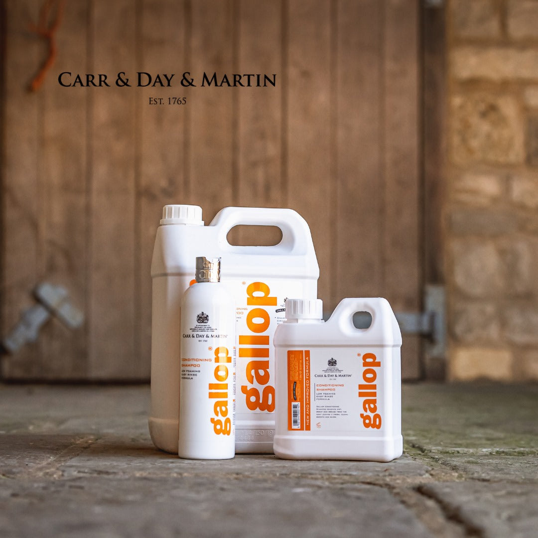 Carr Day & Martin Gallop Conditioning Shampoo
