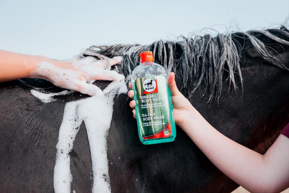 Leovet Tea Tree Body Wash