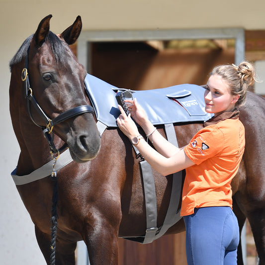 Equilibrium Products Massage Pad