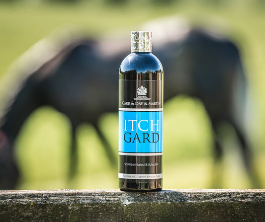 Carr Day & Martin Itchgard Lotion