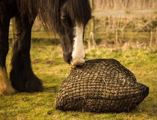 Trickle Nets ''Black Original'' Slow Feeder Net