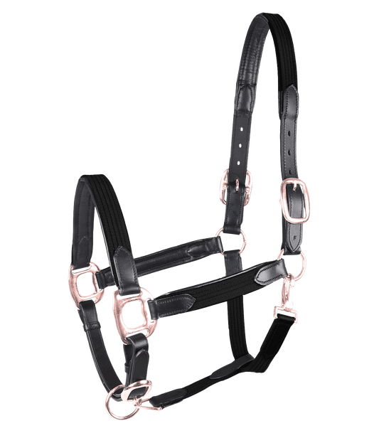 Waldhausen Black Rosegold Star Mix Headcollar