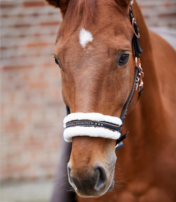 Red horse's head with a black fleece lined headcollar with rose gold details, diamontes and buckles against a brick background