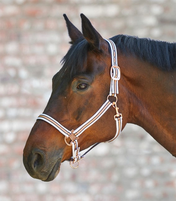 Waldhausen White Rosé Shine Headcollar