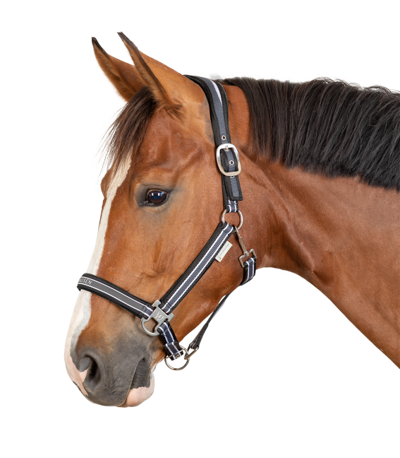 Waldhausen Asphalt Black Athletic Headcollar