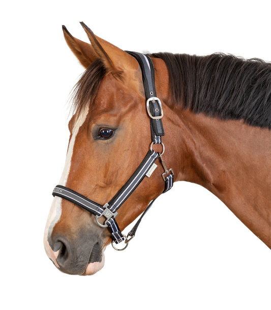 Waldhausen Asphalt Black Athletic Headcollar