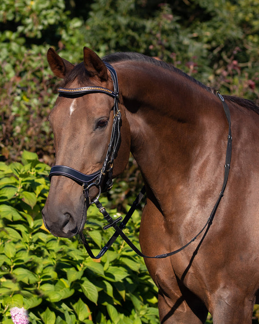 QHP Black Devi Anatomical Snaffle Bridle