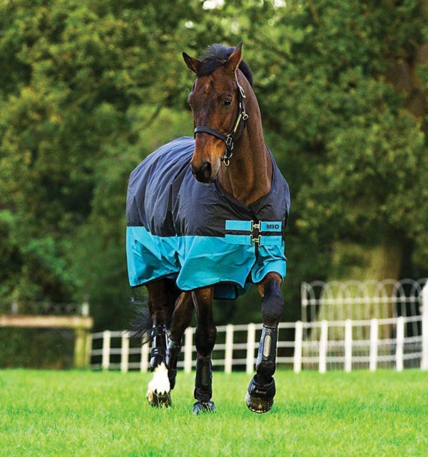 MIO Black Turquoise Classic Turnout Rug