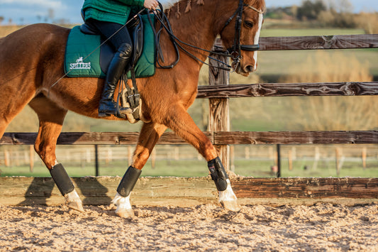 Equilibrium Black Tri-Zone All Sport Boots