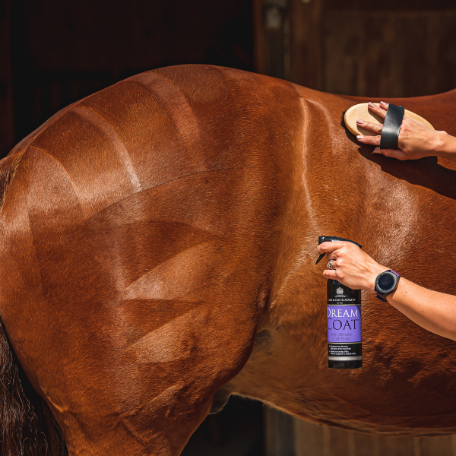 Carr Day & Martin Dream Coat Conditioner Spray