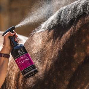 Carr Day & Martin Big Canter Mane & Tail Conditioner Spray