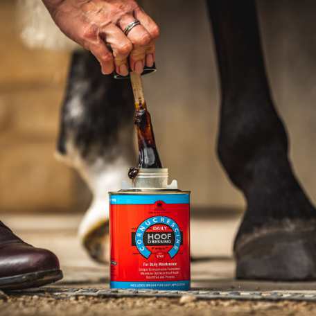Carr Day & Martin Cornucrescine Daily Hoof Dressing