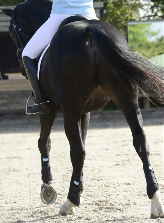 Equilibrium Products Stretch & Flex Flatwork Wraps