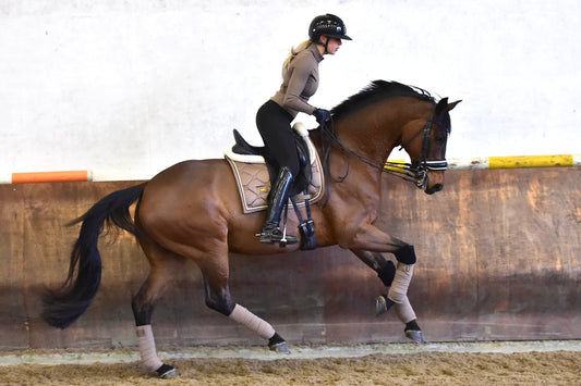 Equestrian Stockholm Champagne Dressage Saddle Cloth
