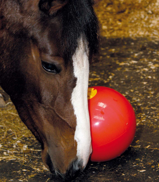 Likit Red Snak-a-Ball Toy