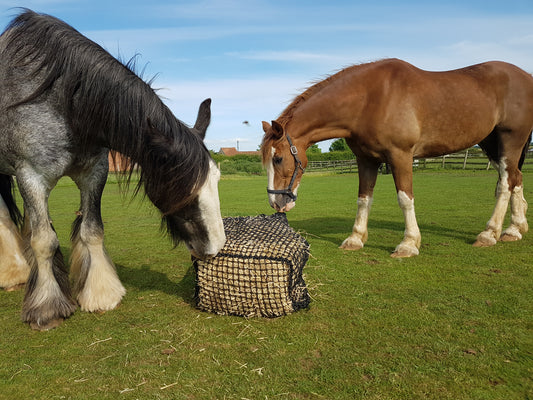 Trickle Nets ''Black Hay Bale'' Slow Feeder Net