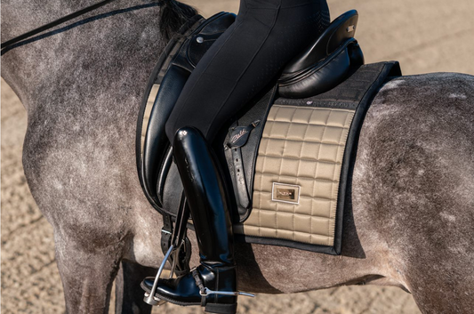 Equestrian Stockholm Sportive Chantelle Dressage Pad