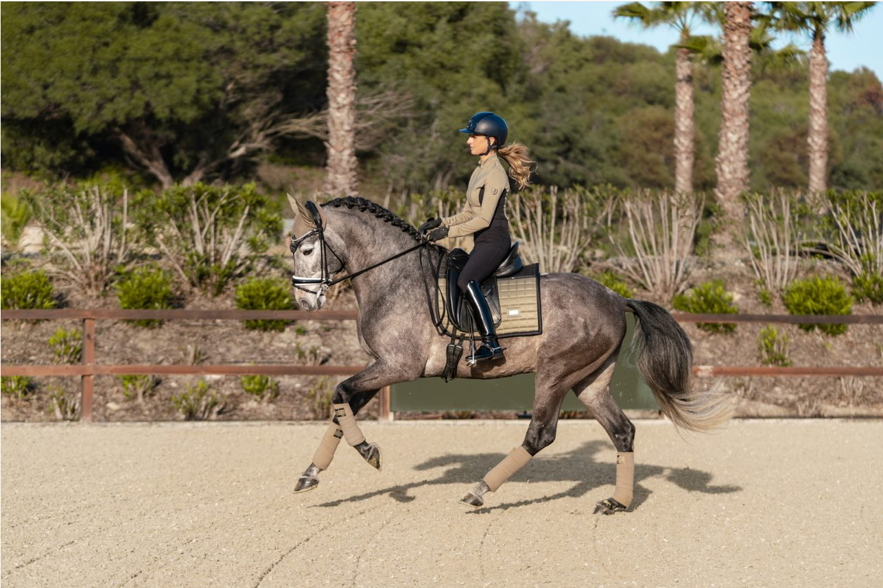 Equestrian Stockholm Sportive Chantelle Dressage Pad