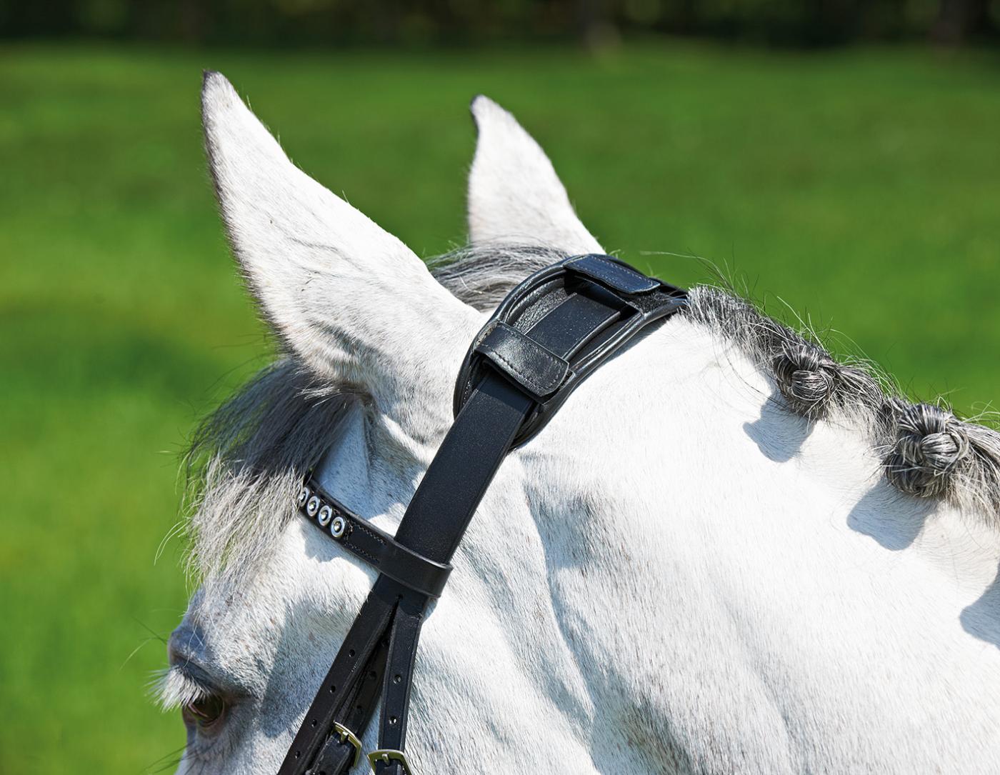 Busse Black Leder Poll Cover