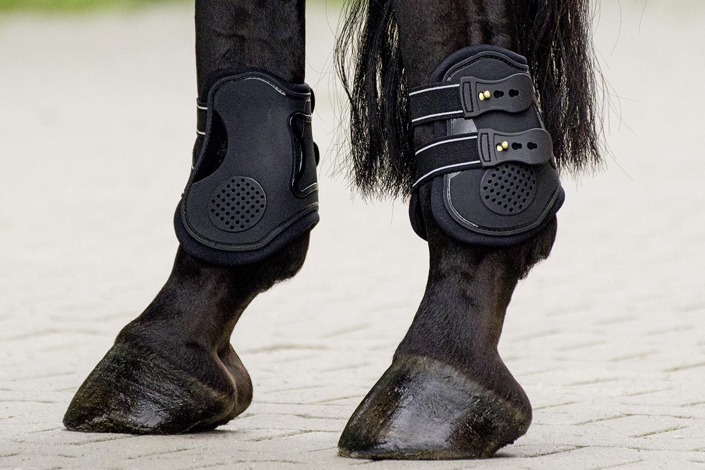 Busse Black Jump Pro Fetlock Boots