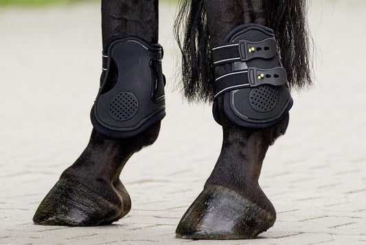 Busse Black Jump Pro Fetlock Boots