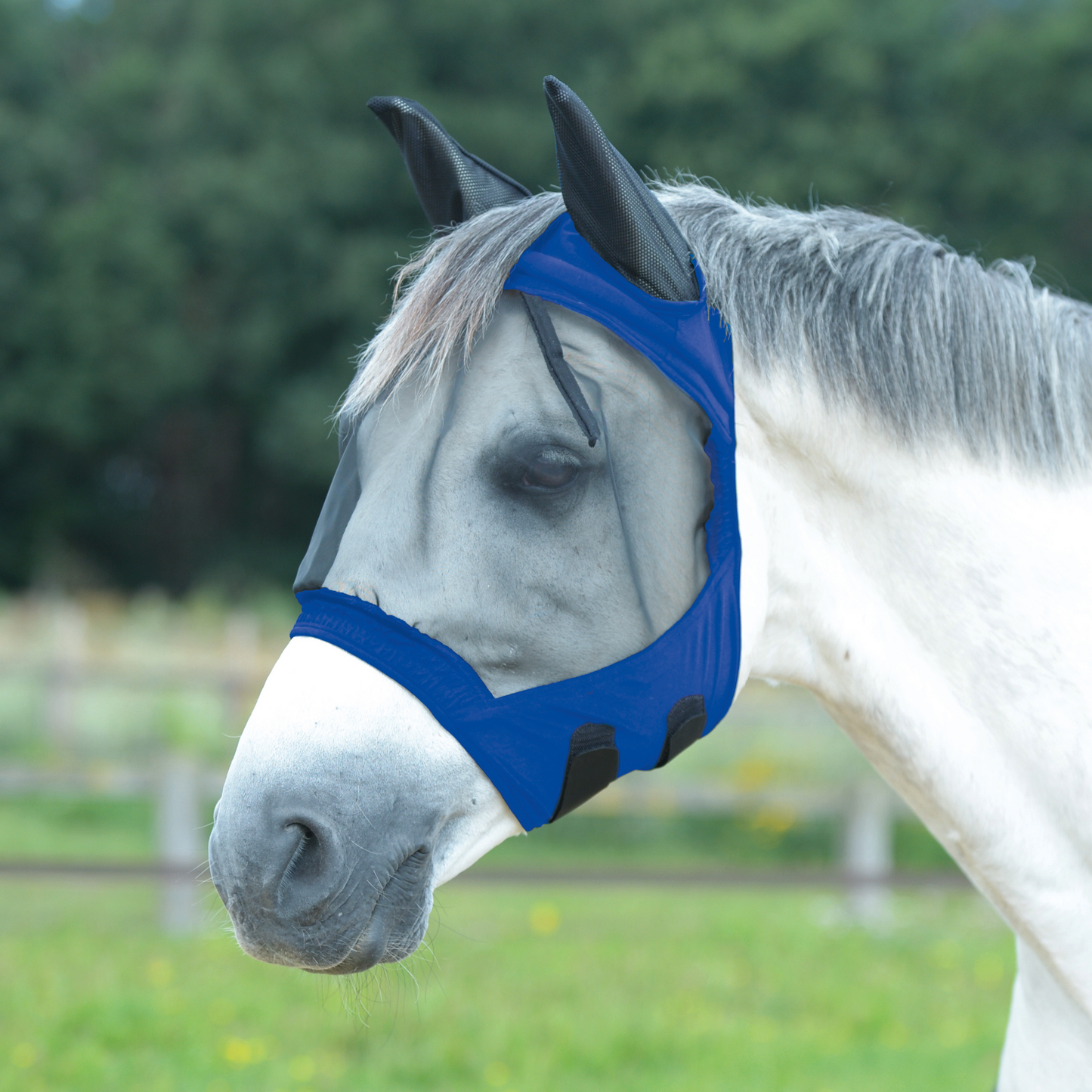 Busse Royal Blue Buckler Gap II Fly Mask