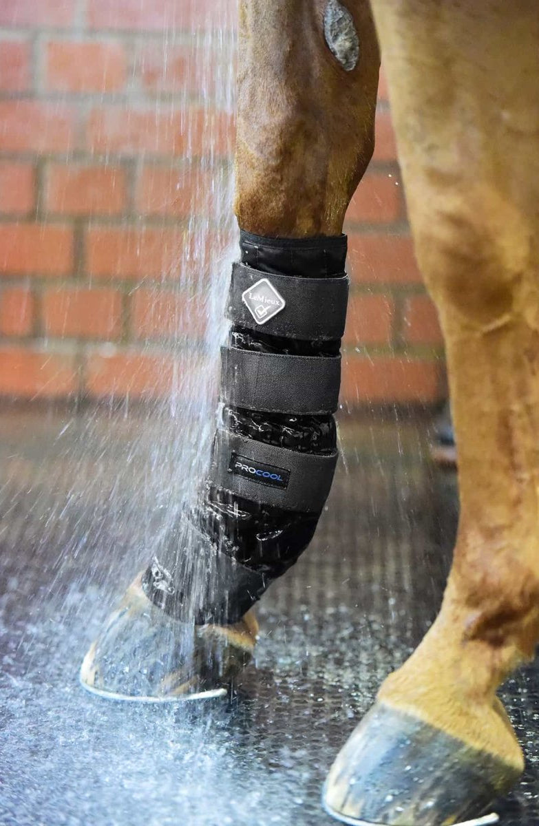 LeMieux Cold Water Boots