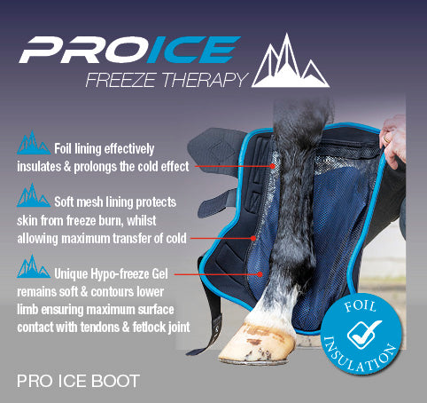 LeMieux ProIce Freeze Boots