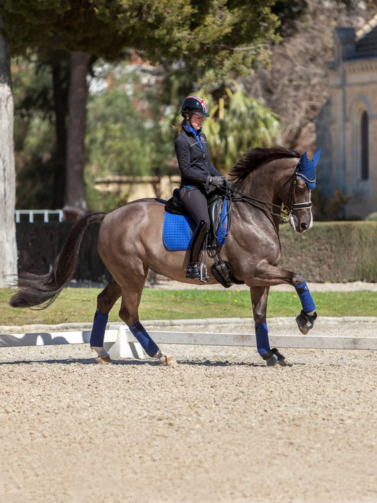 LeMieux Benetton Blue Classic Polo Bandages