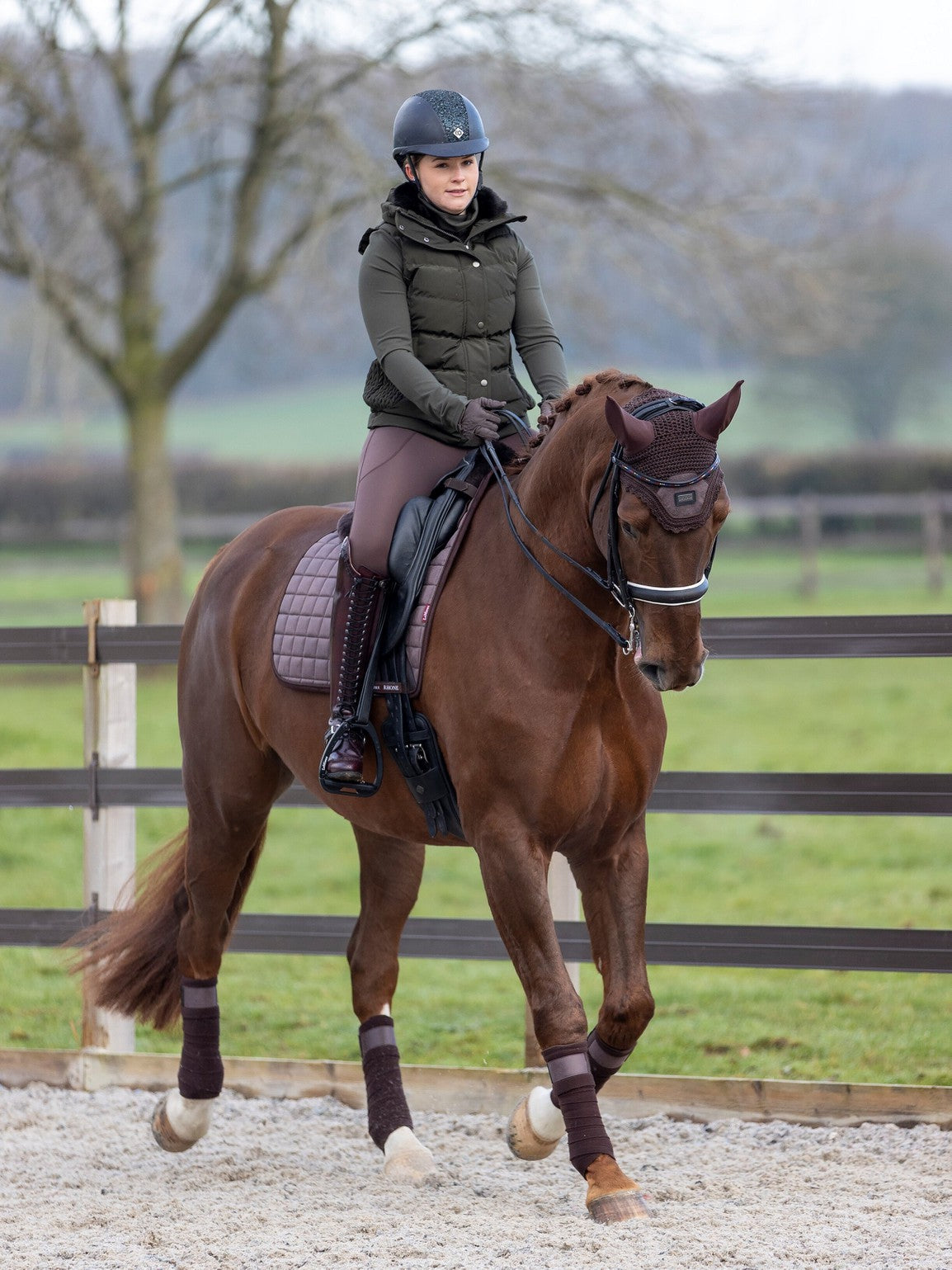 LeMieux Espresso Rhone Polo Bandages